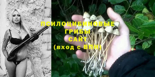 spice Володарск