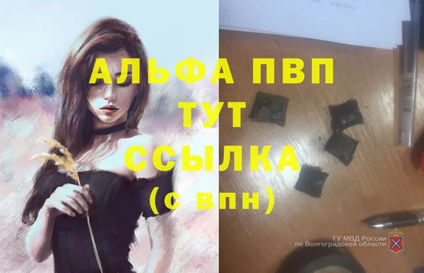 spice Володарск