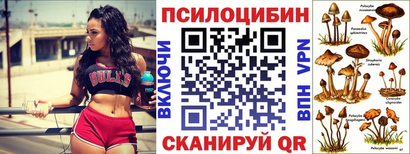 закладки  Тбилисская  KRAKEN ссылка  Галлюциногенные грибы прущие грибы 