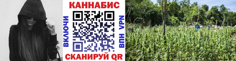 кракен ССЫЛКА  где найти наркотики  Тбилисская  Бошки марихуана ГИДРОПОН 